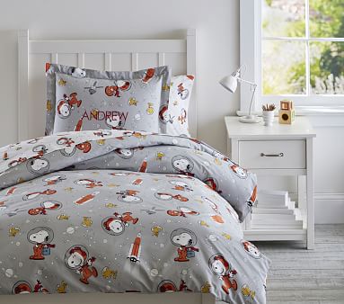 Pottery Barn sale Kids Space Full/Queen Duvet & Shams