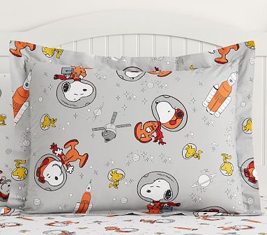 Pottery Barn Kids Peanuts popular Snoopy Toddler Bed Sheets