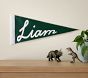 Personalized Script Pennant Flag