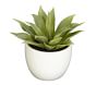 Southwest Succulent Collection Artificial Plant