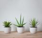 Southwest Succulent Collection Artificial Plant