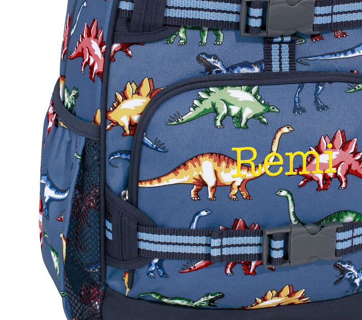 PBK Mackenzie Blue Multi Dino Backpack good & Lunchbox