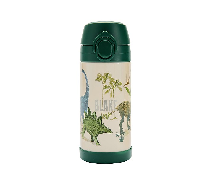 Mackenzie Jurassic Dino Insulated Water Bottle