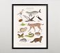 Minted&#174; Endangered Animals Wall Art by Sabrin Deirani