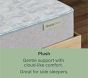 BeautySleep&#174; Plush Mattress