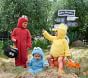 Sesame Street&#174; Big Bird Costume