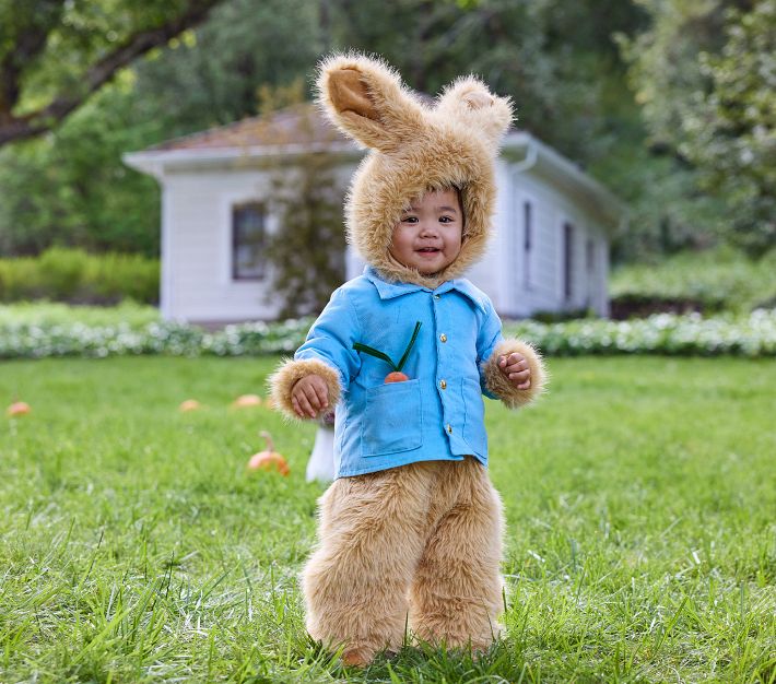 Peter Rabbit Costume