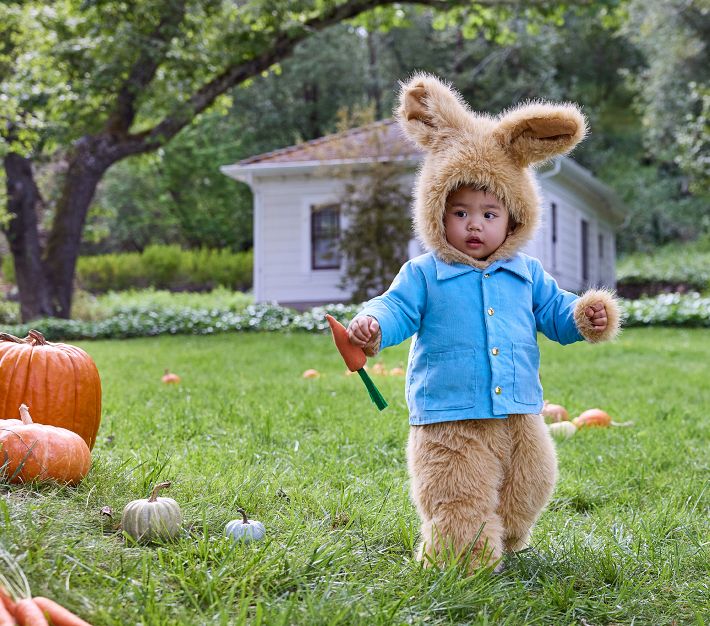 Peter Rabbit Costume