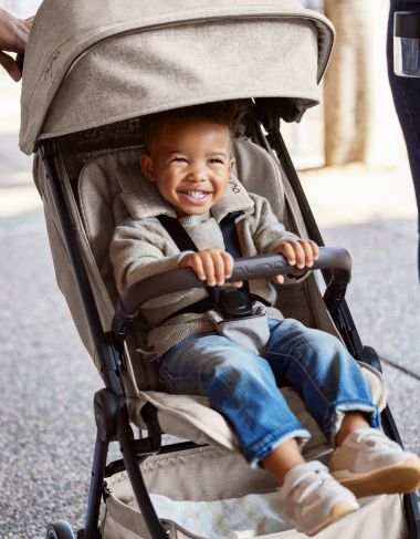 Baby Gear  image