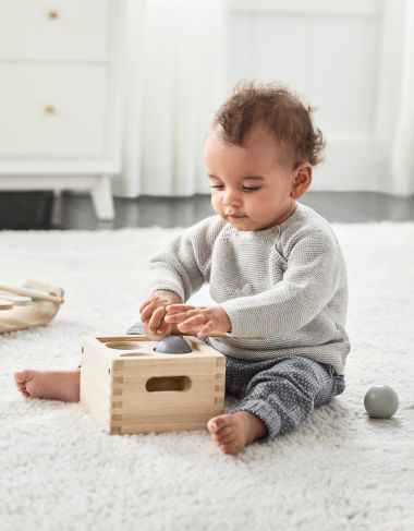 The Little Learner image