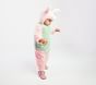 Baby Disney's Winnie the Pooh Piglet Halloween Costume