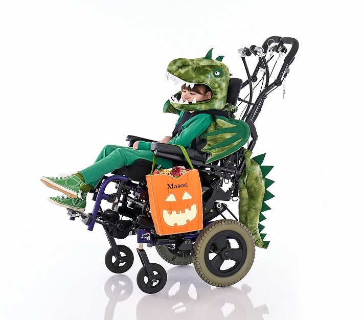 Kids Adaptive Dino Costume Accessory Set