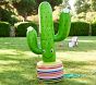 Inflatable Cactus Sprinkler