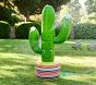 Inflatable Cactus Sprinkler