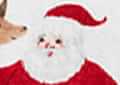 White Santa