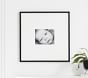 Wood Gallery Frames