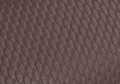 Brown Carbon