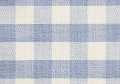Performance Gingham