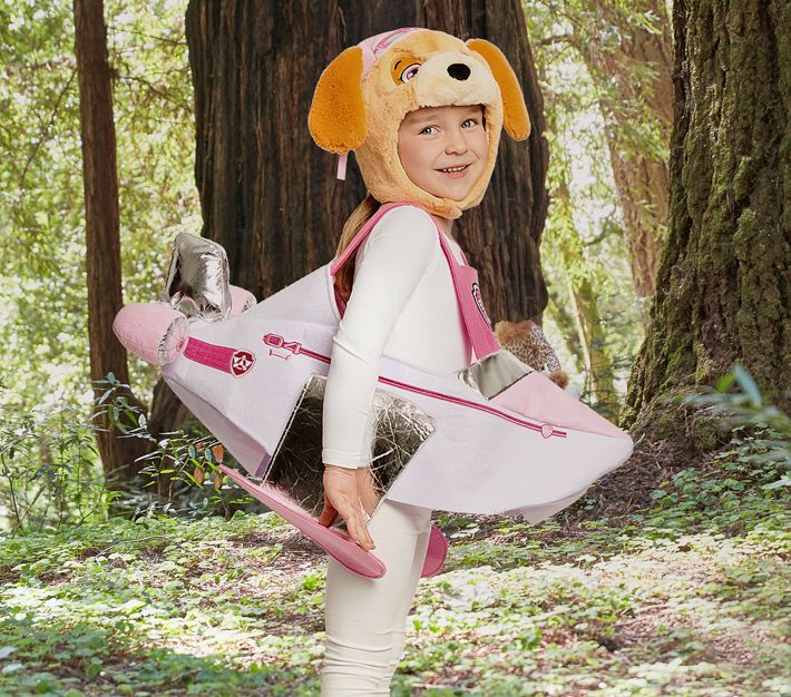 Rubie's Costume Paw Patrol Skye 3D Child Costume – Officially Licensed Tunic With Hat, Small Size