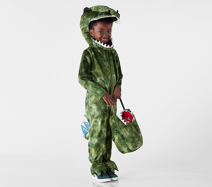 Kids Light Up T-Rex Costume Pottery Barn Kids