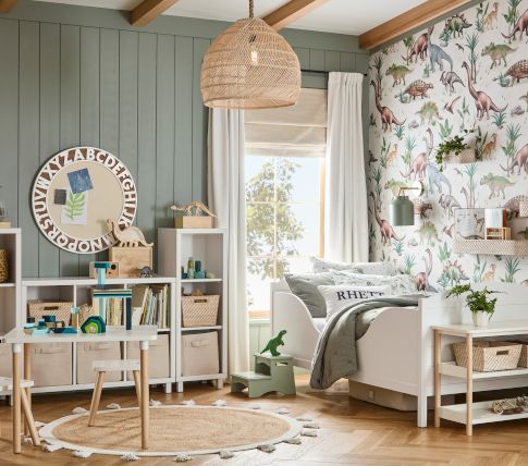 Dino Explorer Bedroom