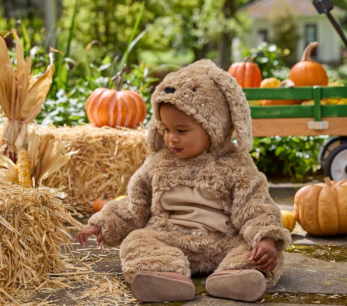 Baby Labradoodle Dog Halloween Costume