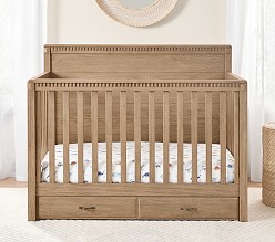 Rory 4-in-1 Convertible Storage Crib