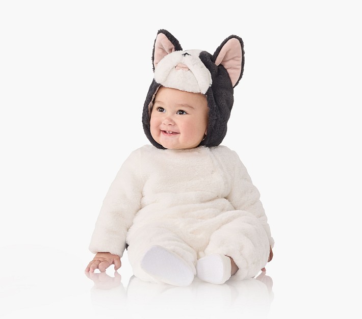 Baby Frenchie Dog Costume Pottery Barn Kids