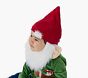 Baby Gnome Costume
