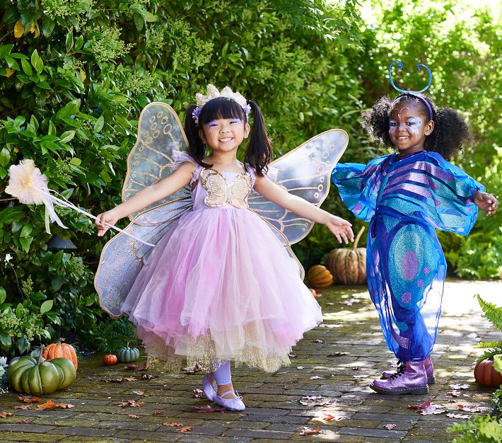 Pottery Barn Costume Principessa Halloween Toddler Fairy Princess