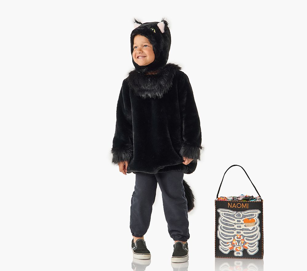 Pottery Barn Cat Costume