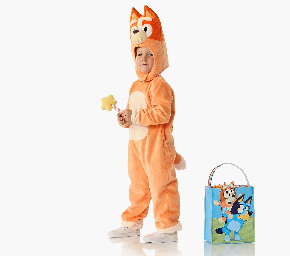 <i>Bluey</i> Bingo Costume