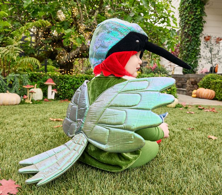 Baby Hummingbird Costume Pottery Barn Kids