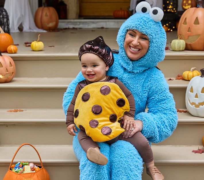 Sesame Street Cookie Monster Costume for Adults Pottery Barn Kids