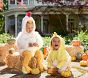Baby Chicken Costume