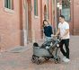 Larktale sprout™ Single-to-Double Stroller Wagon