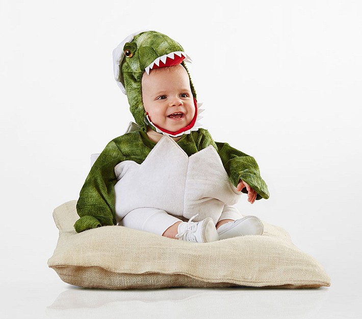 Baby Dinosaur Egg Costume Pottery Barn Kids