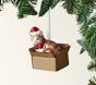 Shatterproof Mercury Cat in the Box Ornament