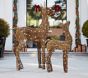 Twinkle Lights Rattan Deer