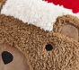 Holiday Teddy Bear Pillow