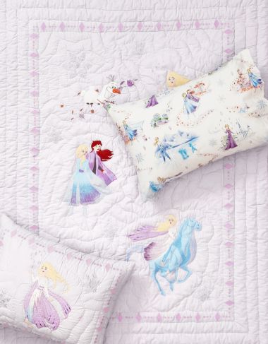 Disney <em>Frozen</em>