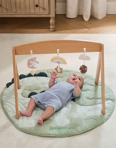 Activity Gyms &amp; Play Mats