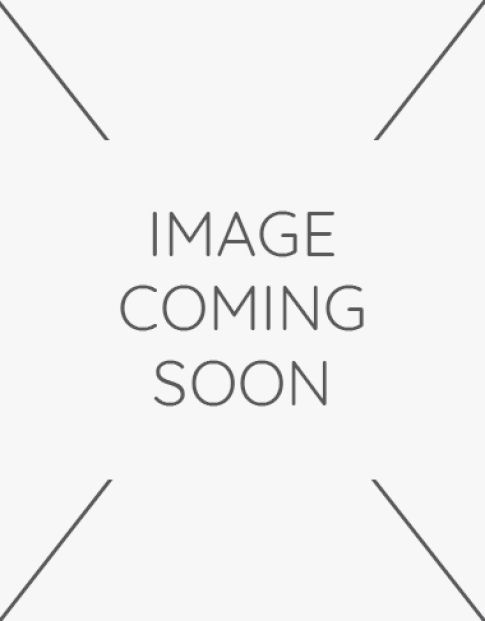 Baby's First Holiday