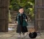 Toddler Harry Potter™ Slytherin™ Halloween Costume