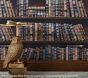 Harry Potter&#8482; Library Wallpaper