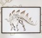 Framed Stegosaurus Art