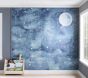 Night Sky Mural