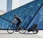 Thule Chariot Sport Single Bike Trailer