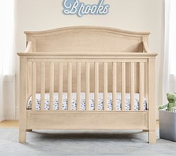 Larkin Camelback 4-in-1 Convertible Crib