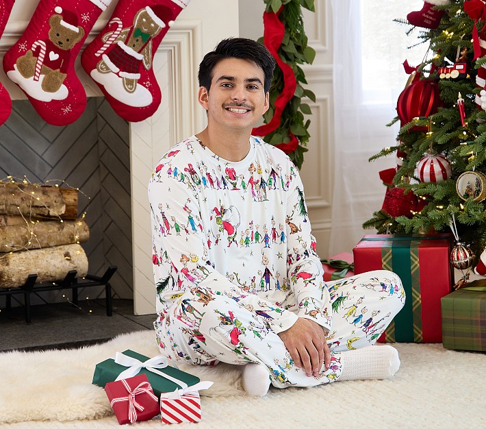 dr-seusss-the-grinch-adult-